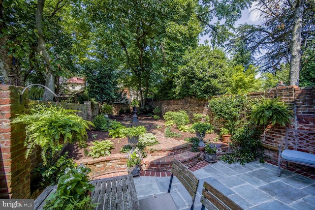717 S Royal St, Alexandria, VA 22314 - fenced backyard with a patio