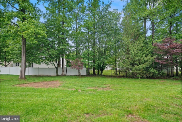 124 Kingsland Cir, Monmouth Junction, NJ 08852 - view of yard