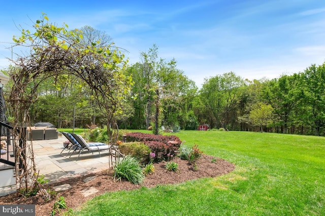 14309 Cervantes Ave, Darnestown, MD 20874 - view of green lawn featuring a patio area