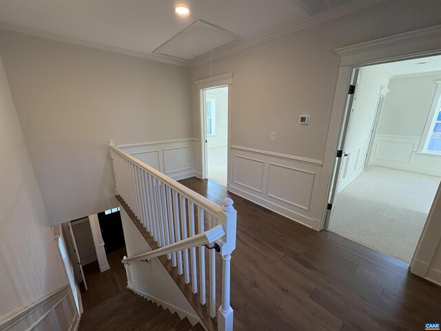 1108 E Jefferson St, Charlottesville, VA 22901 - stairs with attic access, a decorative wall, wood finished floors, ornamental molding, and a wainscoted wall