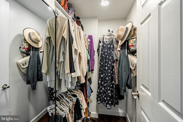 1225 Shenkel Rd, Pottstown, PA 19465 - spacious closet featuring dark wood finished floors