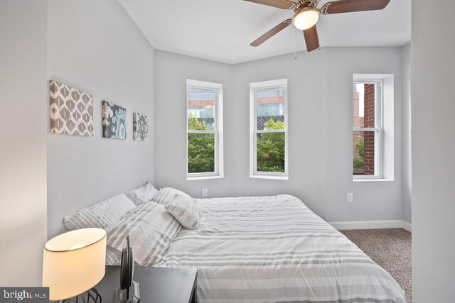 1815 N Warwick Ave, Baltimore, MD 21216 - bedroom with carpet flooring and a ceiling fan