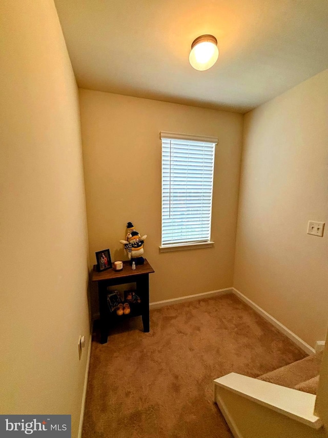 732 Farmwood Ln, Lebanon, PA 17042 - interior space with carpet flooring and baseboards