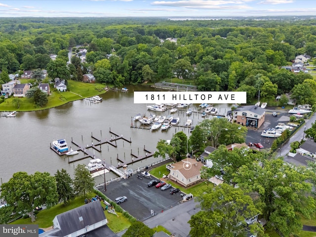 1811 Hilltop Ave, Baltimore, MD 21221 - bird's eye view of a nearby body of water and a marina