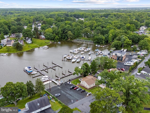 1811 Hilltop Ave, Baltimore, MD 21221 - bird's eye view of a nearby body of water and numerous boat docks