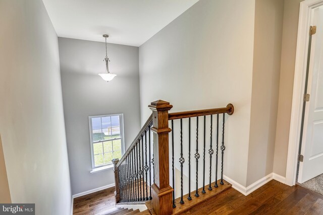806 Pengrove Ct Lot 54, Bowie, MD 20716 - stairway featuring wood finished floors