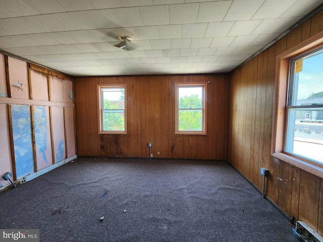 101 S Payson St, Baltimore, MD 21223 - carpeted spare room with healthy amount of natural light and wooden walls