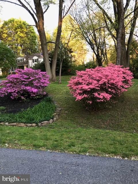 245 Greentree Dr, West Chester, PA 19382 - view of yard