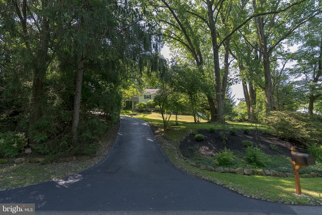 245 Greentree Dr, West Chester, PA 19382 - view of asphalt driveway