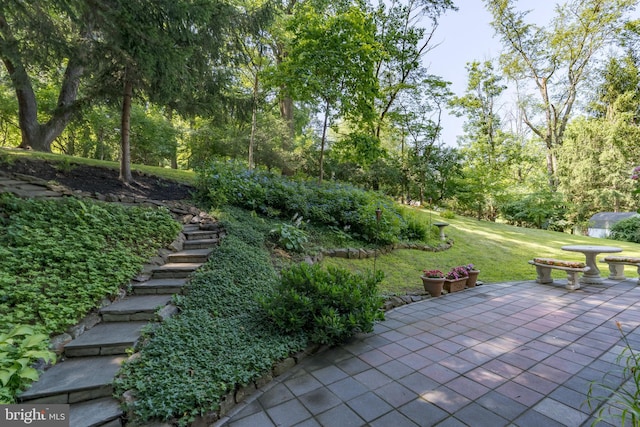 245 Greentree Dr, West Chester, PA 19382 - view of patio