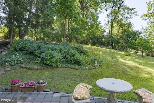 245 Greentree Dr, West Chester, PA 19382 - view of grassy yard