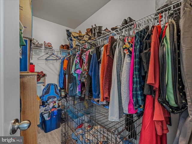 110 Tundra Ct, Bunker Hill, WV 25413 - spacious closet with wood finished floors