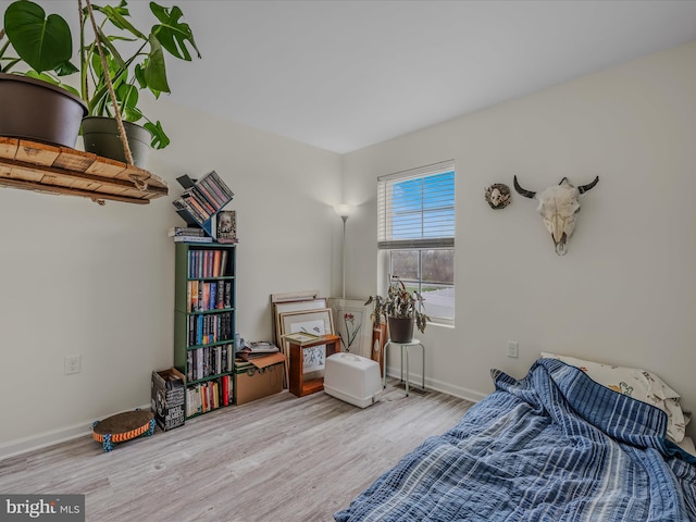 110 Tundra Ct, Bunker Hill, WV 25413 - bedroom featuring wood finished floors