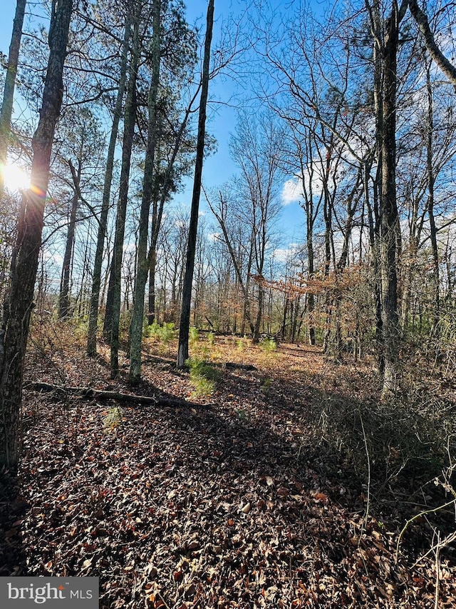 7005 Floral Park Rd, Brandywine, MD 20613