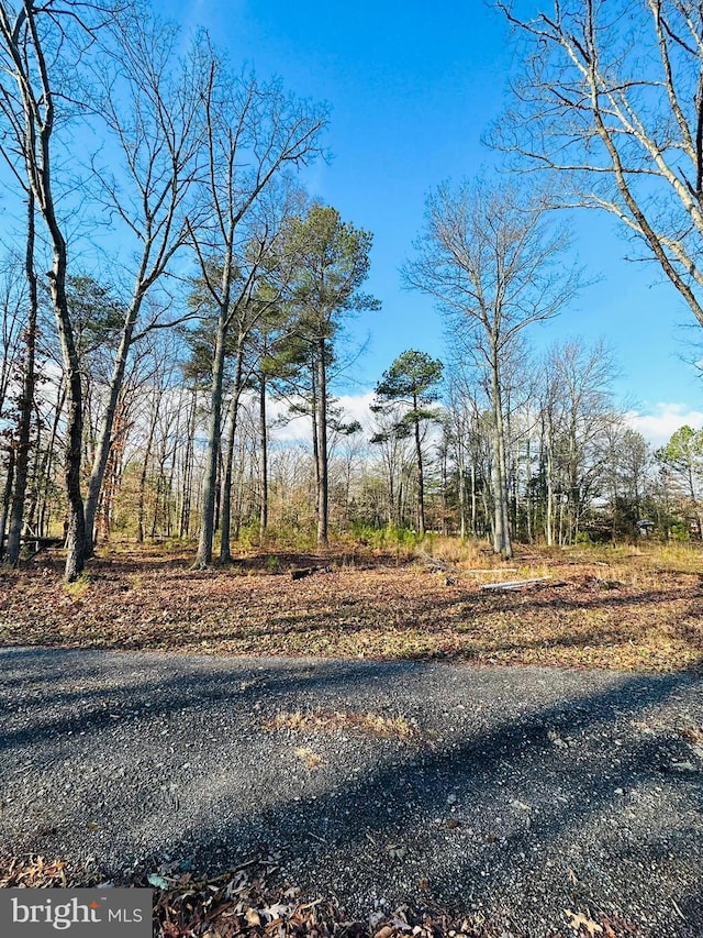 7005 Floral Park Rd, Brandywine, MD 20613
