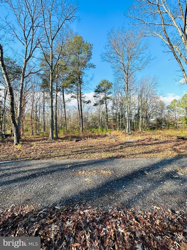 7005 Floral Park Rd, Brandywine, MD 20613