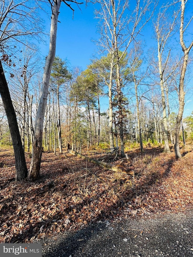 7005 Floral Park Rd, Brandywine, MD 20613