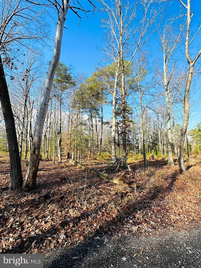7005 Floral Park Rd, Brandywine, MD 20613
