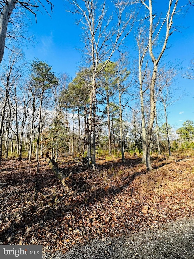 7005 Floral Park Rd, Brandywine, MD 20613