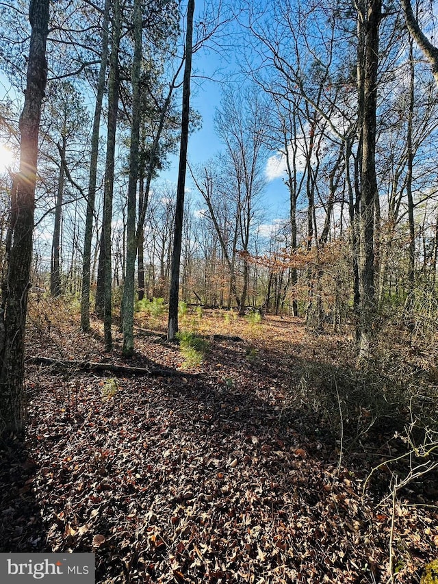 7005 Floral Park Rd, Brandywine, MD 20613
