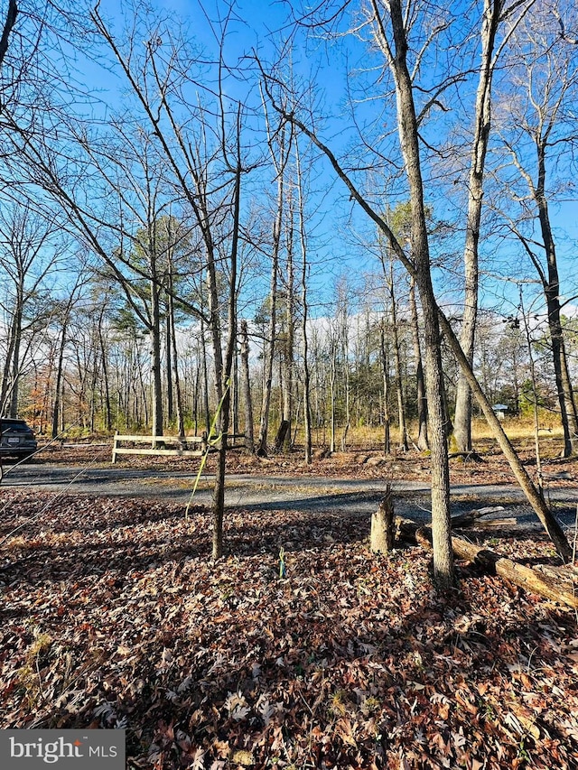 7005 Floral Park Rd, Brandywine, MD 20613