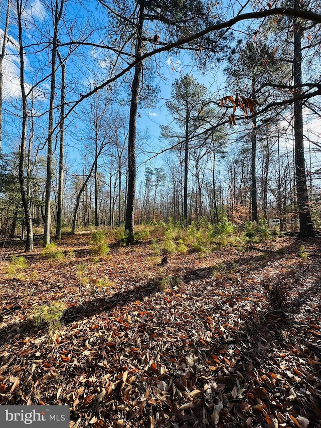 7005 Floral Park Rd, Brandywine, MD 20613