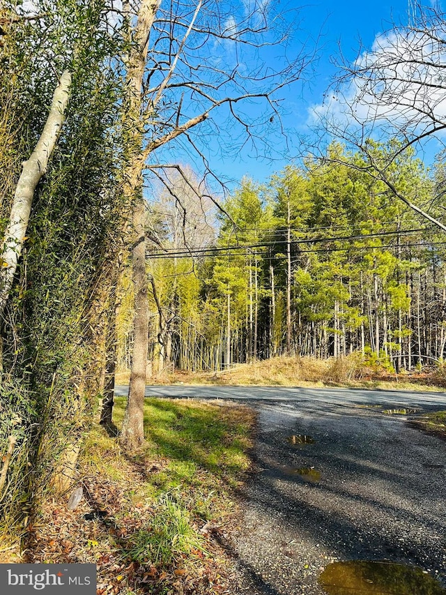 7005 Floral Park Rd, Brandywine, MD 20613