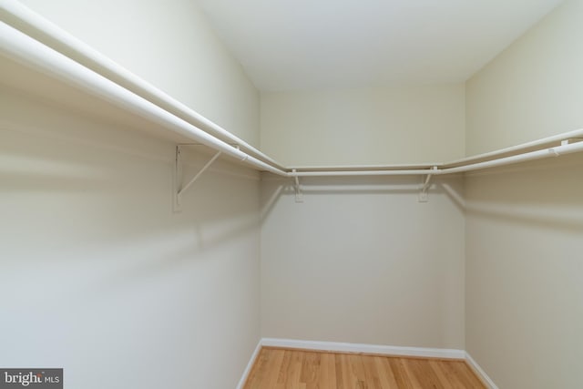 1906 Duffield Ln, Alexandria, VA 22307 - spacious closet with light wood-type flooring