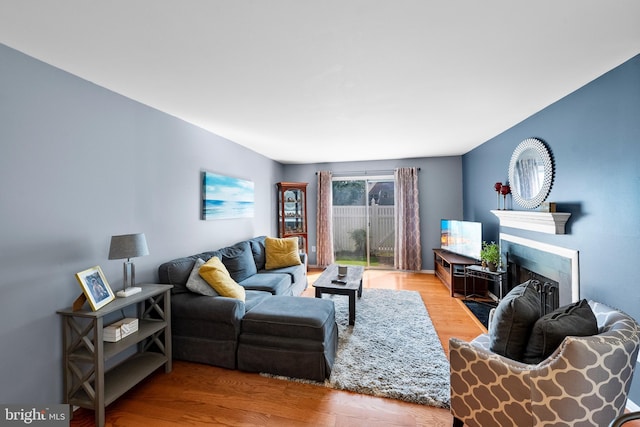 28 Powell Ct, Hightstown, NJ 08520 - living room featuring wood finished floors and a fireplace with flush hearth