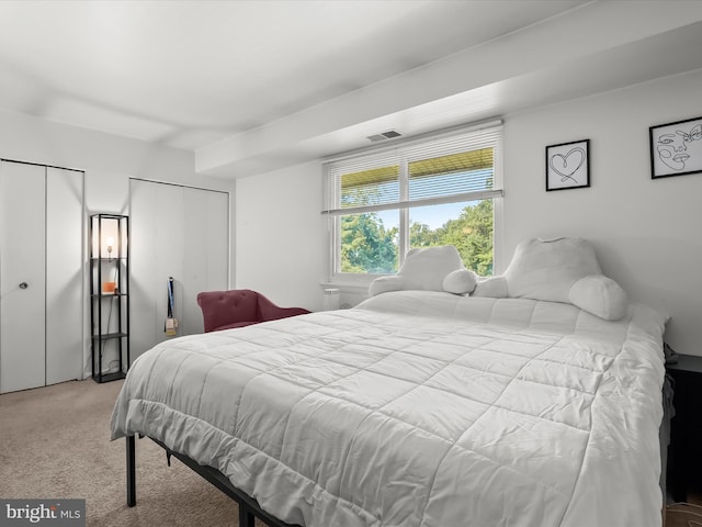 200 Erin Way Unit 204, Reisterstown, MD 21136 - carpeted bedroom with two closets