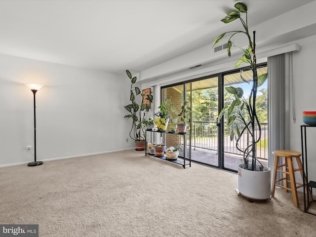 200 Erin Way Unit 204, Reisterstown, MD 21136 - sitting room with carpet flooring and baseboards