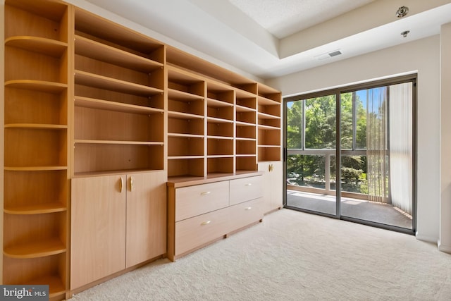 3005 S Leisure World Blvd Unit 226, Silver Spring, MD 20906 - spacious closet with light carpet