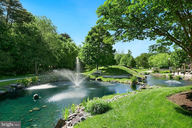3005 S Leisure World Blvd Unit 226, Silver Spring, MD 20906 - water view