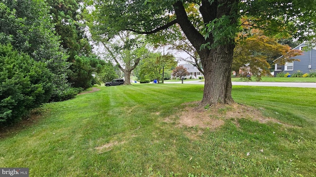 59 Singer Rd, New Freedom, PA 17349 - view of grassy yard