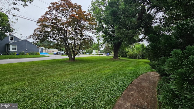 59 Singer Rd, New Freedom, PA 17349 - view of green lawn