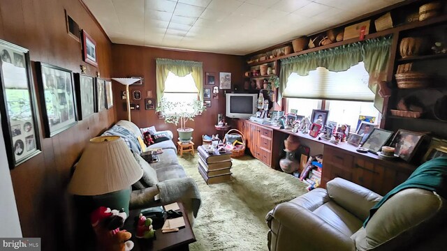 59 Singer Rd, New Freedom, PA 17349 - living room featuring carpet flooring