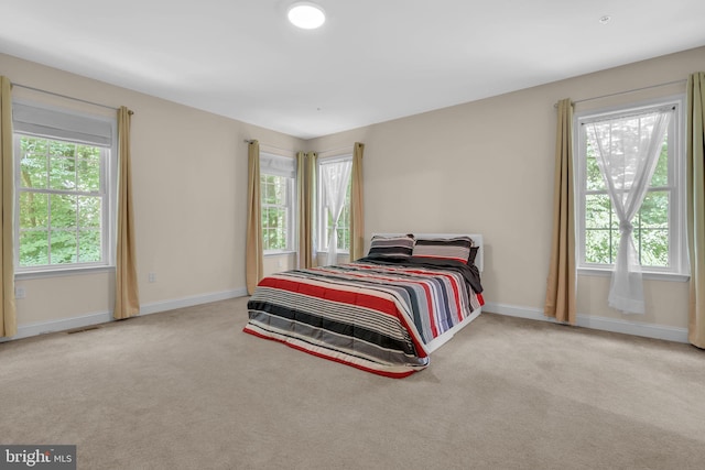 13716 Molly Berry Rd, Brandywine, MD 20613 - bedroom featuring multiple windows and carpet
