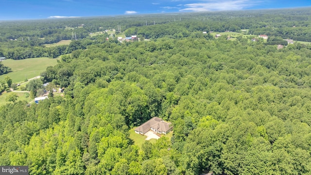 13716 Molly Berry Rd, Brandywine, MD 20613 - aerial view of a forest