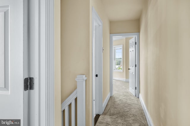 2929 N W St, Wilmington, DE 19802 - hall featuring carpet floors and baseboards