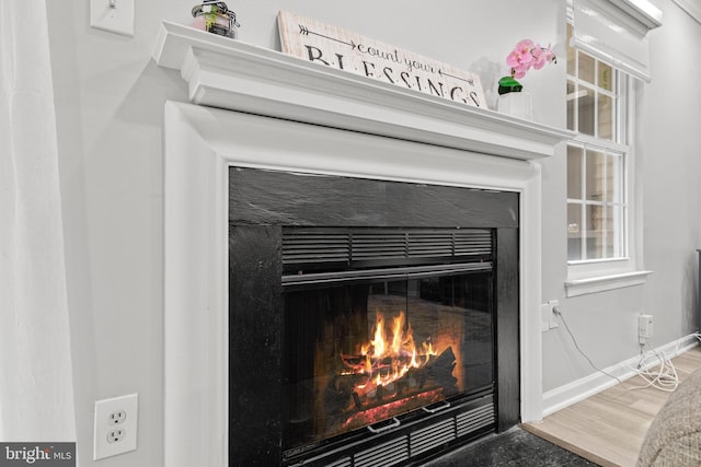 14983 Cheyenne Way, Haymarket, VA 20169 - detailed view of a glass covered fireplace and baseboards