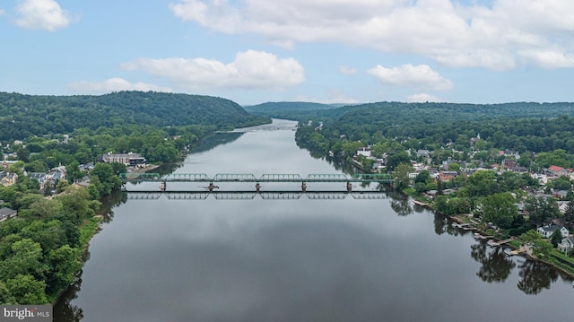 151 N Union St Unit 6, Lambertville, NJ 08530 - water view featuring a forest