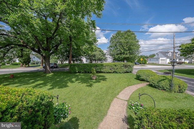 127 Long Rd, King Of Prussia, PA 19406 - view of green lawn