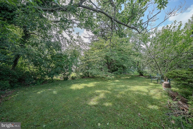 127 Long Rd, King Of Prussia, PA 19406 - view of green lawn