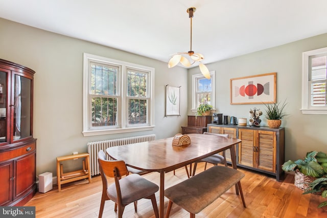 3909 17th St NE, Washington, DC 20018 - dining area with radiator, healthy amount of natural light, and light wood-style flooring
