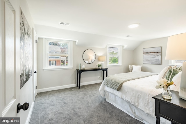 147 Meadowbrook Ave, Upper Darby, PA 19082 - bedroom featuring carpet and multiple windows