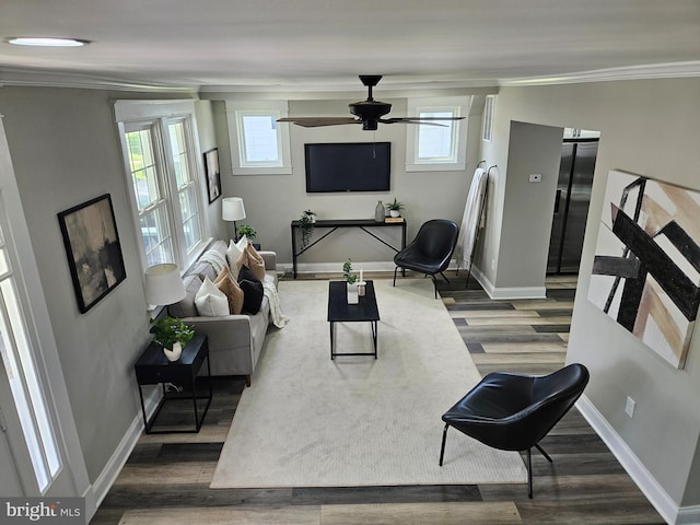 2900 Westfield Ave, Baltimore, MD 21214 - living room with ornamental molding, wood finished floors, healthy amount of natural light, and ceiling fan