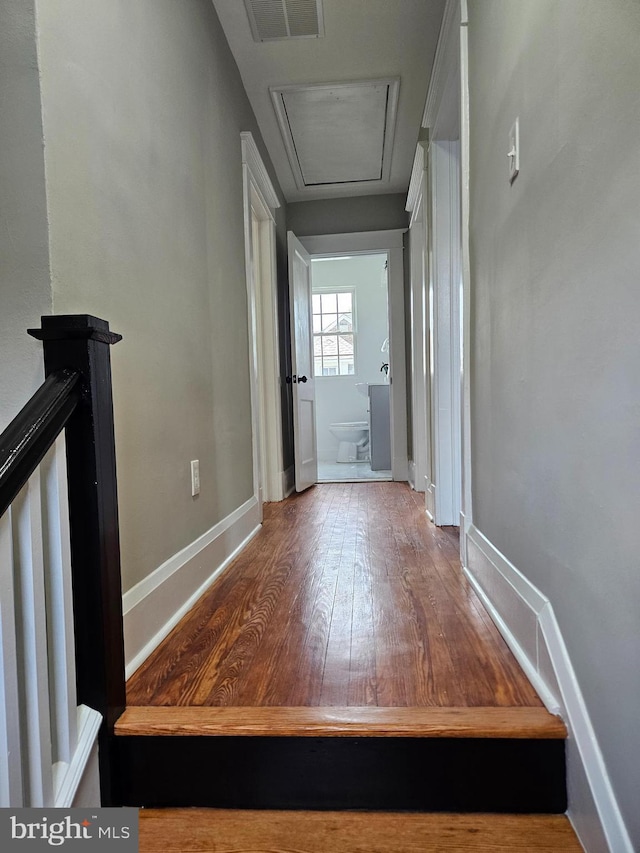 2900 Westfield Ave, Baltimore, MD 21214 - hall featuring wood-type flooring and attic access