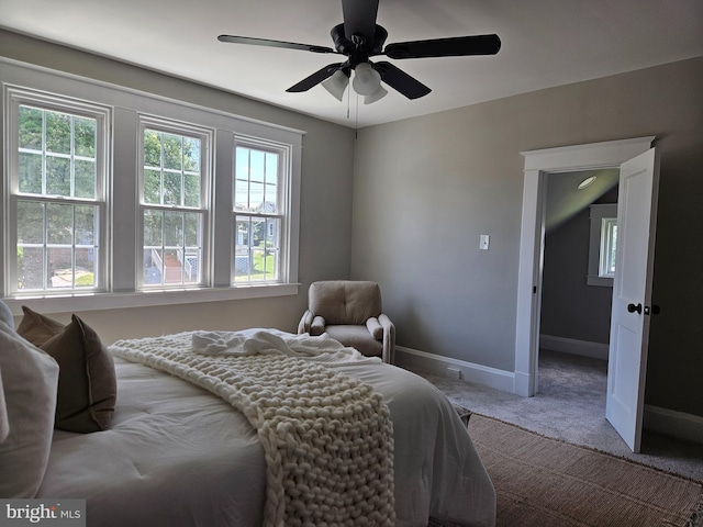 2900 Westfield Ave, Baltimore, MD 21214 - bedroom featuring carpet, multiple windows, and a ceiling fan