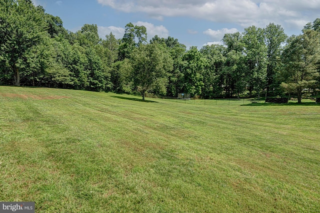 121 Pine Valley Dr, Middletown, DE 19709 - view of grassy yard