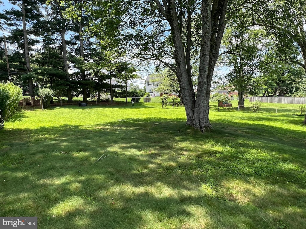 6430 Amherst Ave, Columbia, MD 21046 - view of yard